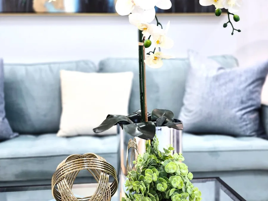 Orchid and styled coffee table in a professionally staged living room